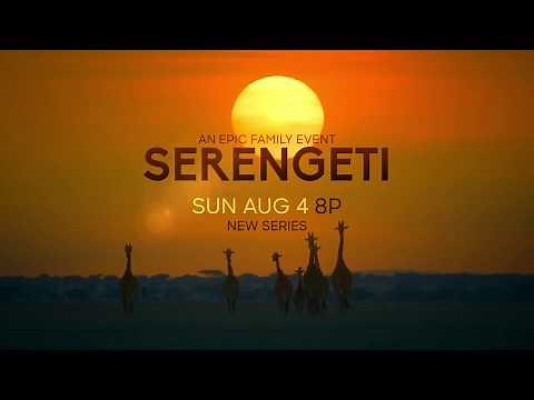 Serengeti | Official Trailer - Narrated by Lupita Nyong'o