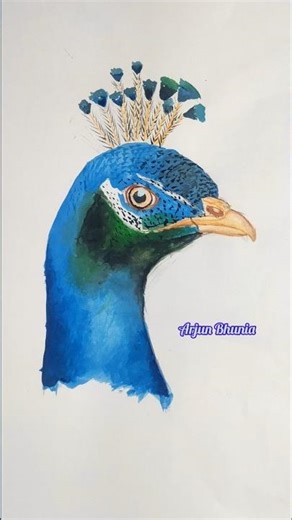 #a drawingof a peacock#ispeacockawatercolor#drawapeacock#peacockdrawingwithcolour