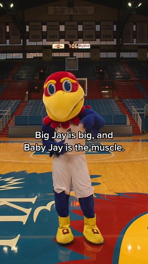 University of Kansas Jayhawks Mascots Revealed