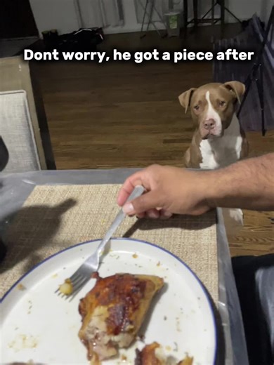 NormaJ Mena|Sealed With Grace (@normajmena)’s videos with Angel - Sarah McLachlan