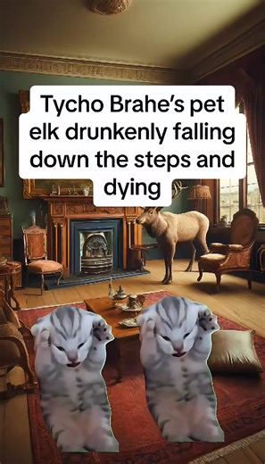 93K views · 4.4K reactions | Weird History Facts | Simplified By Cats #fyp #history #cats #original #weirdhistory | Simply Stated History | Facebook