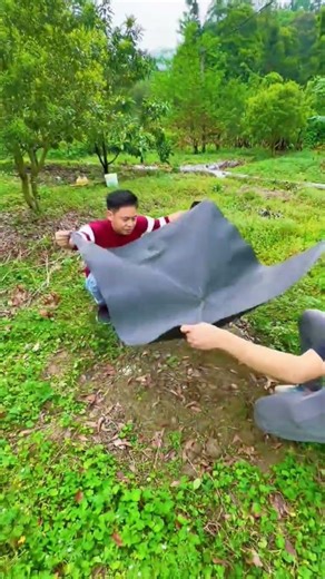 🌿🌱Weed Control Mat to Stop Weeds Around Trees