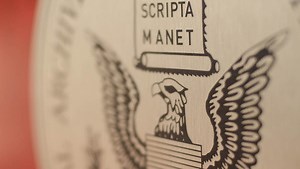 Exercises in democracy: building a digital public library