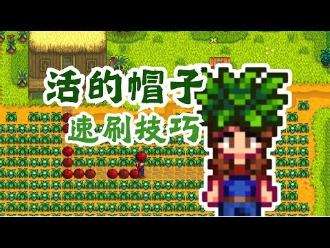 【星露谷】速刷活帽小绝招，0 001%概率不在话下