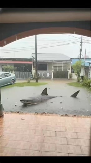 Adoi Lah, Camana Nak G Keje Ni.... | Muhammad Halid Ibrahim