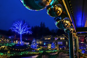 Magic to behold: Butchart Gardens’ annual Christmas lights ceremony happening next week