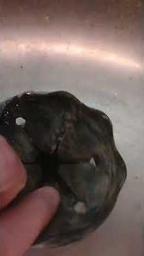 How to Replace Garbage Disposal Splash Guards Sink Baffle Disposal Replacement Plug