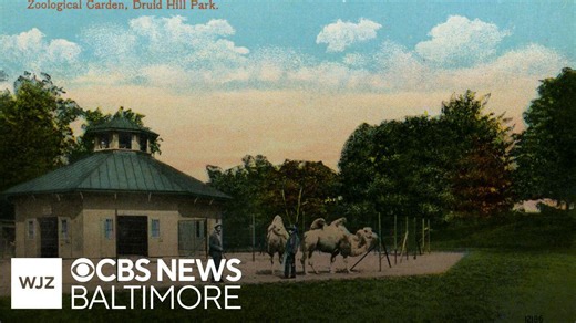 Star Spangled Stories: Maryland Zoo turns 150 years old