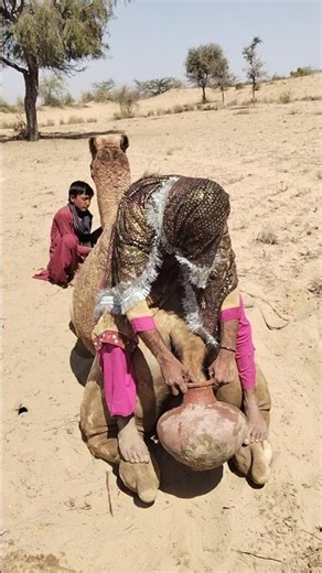 أصالة الماضي في قلب الصحراء