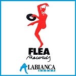 D Jungle Girls / King Kong - Boom Boom Dollars