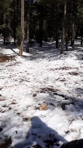 Kharboucha: Un Voyage Émotionnel à Travers les Émotions