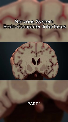 Nervous System - Brain & Machine #animation #medicine #humanbody #physiology #anatony