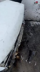 WATCH BACCHANAL | LiveZone