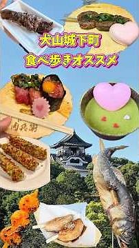 Must-Try Street Food in Inuyama Castle Town 😍 Aichi Prefecture Sightseeing & Food Tour ❤️ #Housew...