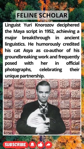 The Cat Co-Author of a MAJOR Linguistic Discovery!