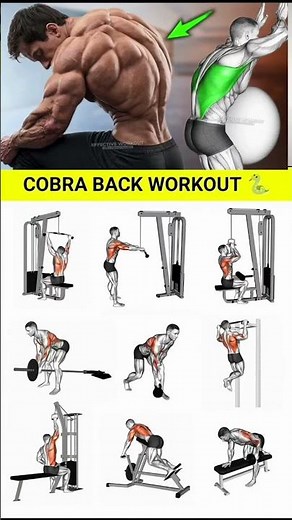 Back workout at gym | back workout with dumbbells | lower back workout