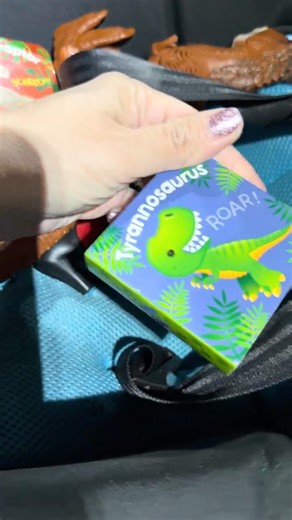 Where did the 3 little dinosaur books go?