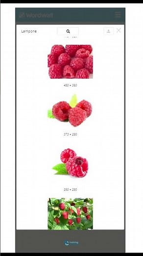 Esercizi con audio su Wordwall (finalmente!)