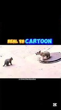 Real vs Cartoon. Cr:mrchanduoduo