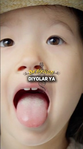 Does the Tongue Have a Bone?