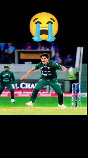 Exciting Cricket Match Highlights with Emotional Moments