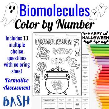 Biomolecules Halloween Color by Number Activity Level Biology Science Worksheet