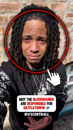 Why The Bloodhounds are responsible for Hatflation💔🧢 #BloodhoundLilSpeedy