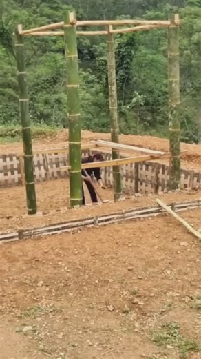 2.9K views · 58 reactions | How to make a hut in a pond and a monolithic drinking table and chairs | Ana Bushcraft | Facebook