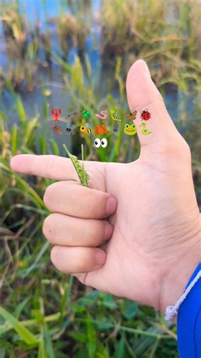 What Is This? 🌿👀 We found some amazing animals in nature! #Shorts #Animals #Wildlife