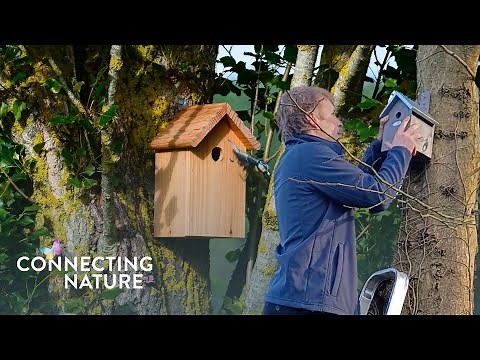 Choosing a nest box for different wild bird species