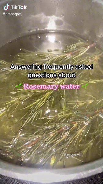 Rosemary Water: Frequently Asked Questions Answered!