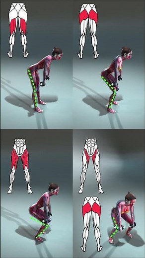 🔥 Dumbbell Deadlift Tutorial | Glutes & Hamstrings Workout | Full Muscle Guide