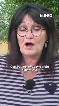 Dordogne : Un renard vole 25 boules de pétanque à un couple