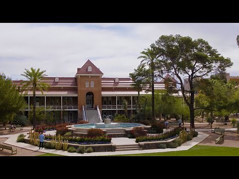 The College of Social and Behavioral Sciences Experience