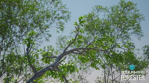 C4D森林插件 Forester 完整教程 （英文）