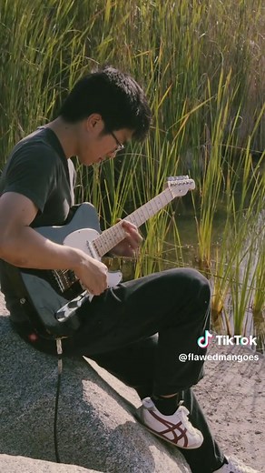 Flawed Mangoes: An Insight into Hopecore Music Culture