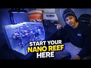 The EASIEST Way to Start a Nano Reef Tank (Beginner Guide)