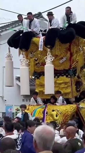 西条祭り 伊曽乃神社例大祭 20241016 御殿前 喧嘩 #祭り#まつり#西条祭り＃伊曽乃神社#御殿前#みこし#太鼓台#だんじり#西条市#けんか#喧嘩