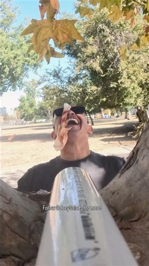 Bait Trump Sign Prank 🤣 #Pranks #JoeySalads #ViralVideos