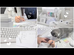 [Vlog] How to spend a day with school