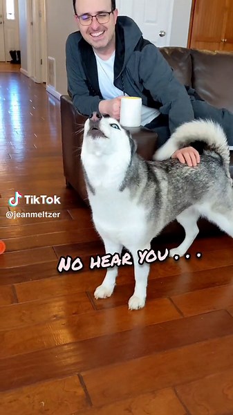 Husky Refuses to Take a Shower! Funny Dog Tantrum