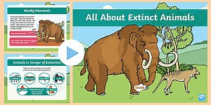 KS1 All About Extinct Animals PowerPoint
