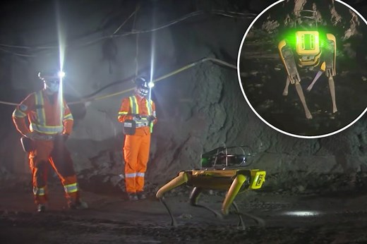 Robot dogs to join New York Fire Department’s ‘lifesaving’ mission