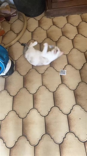 Vidéos de Anna (@anna_flower_18) avec original sound - Anna