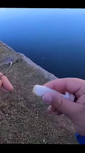 Fishing w/ Bacon! #fishing | Thefishinmagician2.0