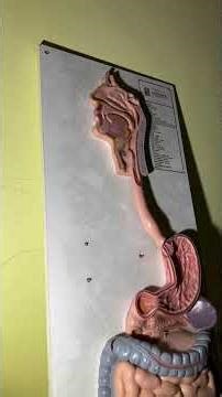 Abandoned Catholic School with everything left in it