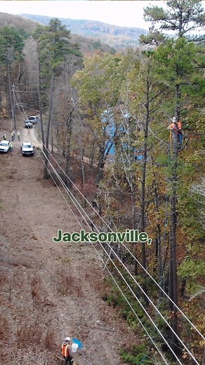 🌳 Where bucket trucks can’t operate, trained climbing crews clear trees within utility rights of way to reduce outage risks. Skilled arborists across the state complete this work to support a safer, more dependable electric system. Learn more > https://bit.ly/3KfbFuT | Alabama Power