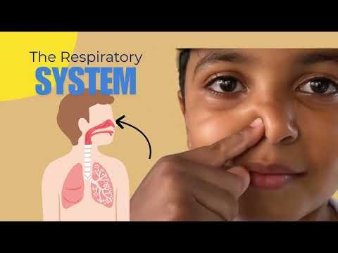 Respiratory System Explained for Kids 👩‍⚕️| Learn & Play Trivia!