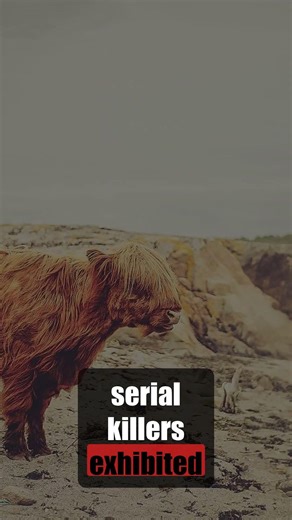 Serial killers follow a pattern — understanding it has saved hundreds of lives #truecrime #shorts