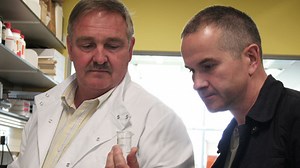 How alcohol affects the brain